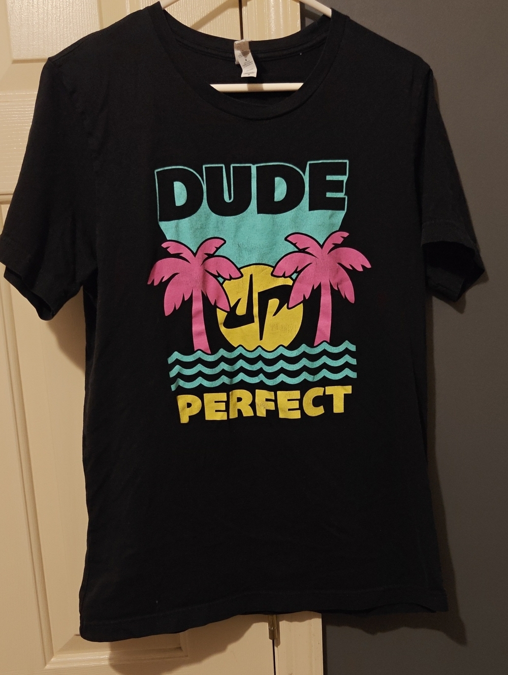 Black 'Dude Perfect' Graphic Tee with Pink Palms 2022 Tour - Picture 1 of 4